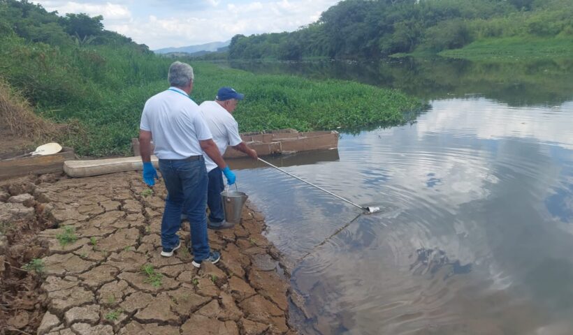 Nova mortandade de peixes atinge Rio Paraíba, em Caçapava