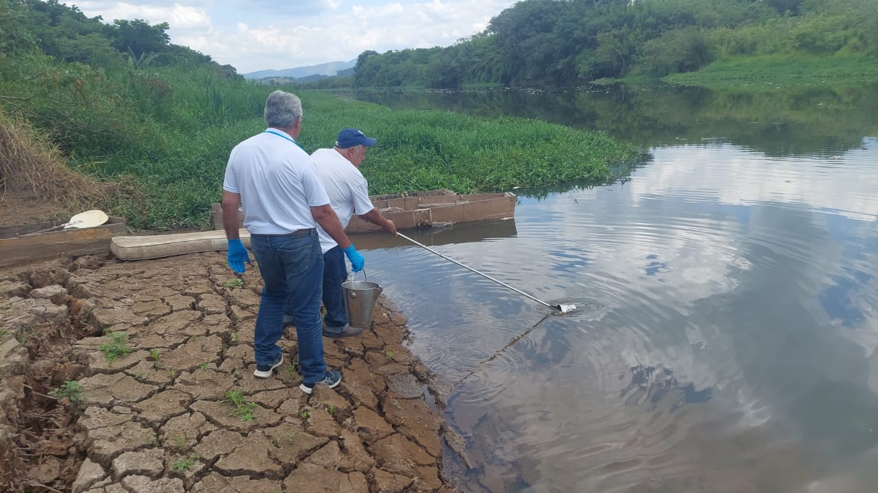 Nova mortandade de peixes atinge Rio Paraíba, em Caçapava