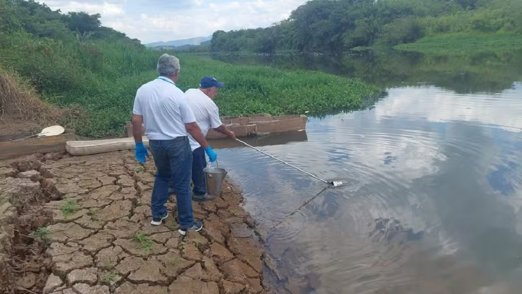 Sabesp é multada em R$ 900 mil por mortandade de peixes no Rio Paraíba