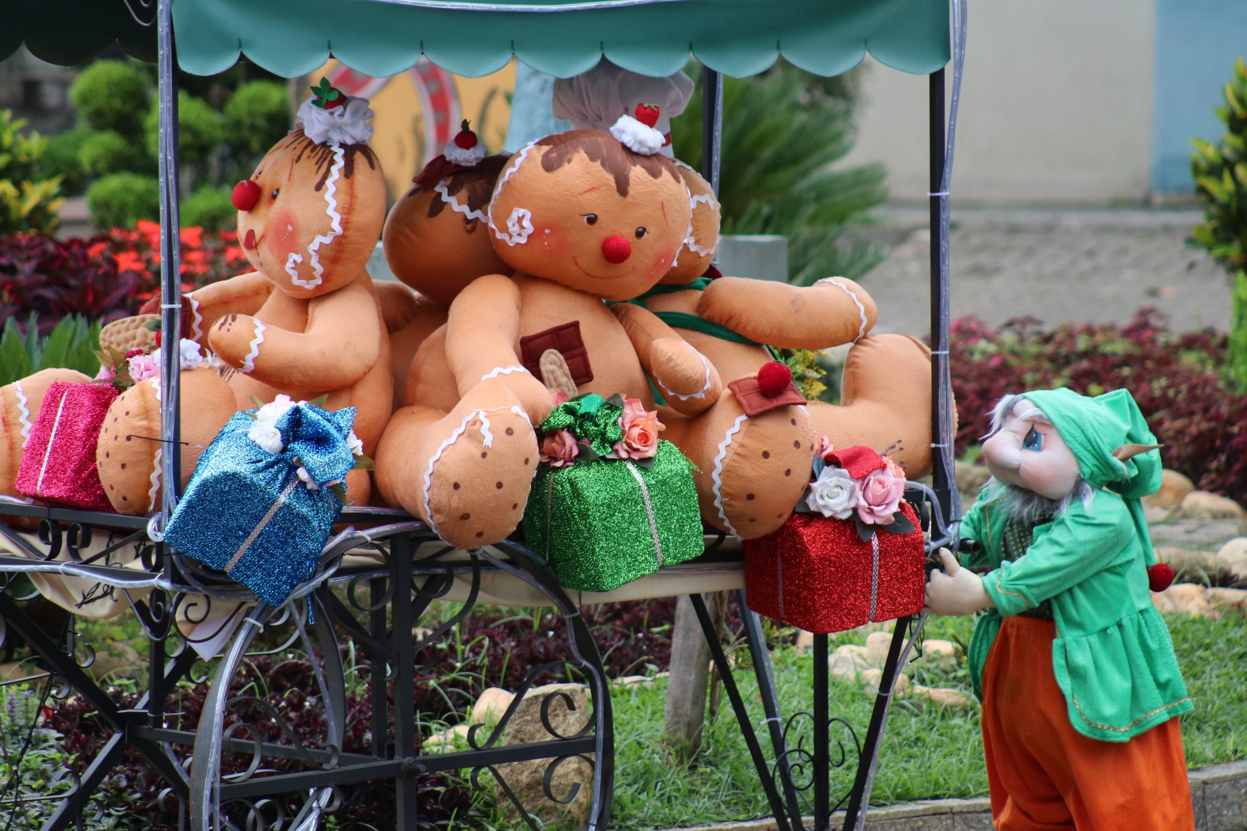 Encanto de Natal em Santo Antônio do Pinhal