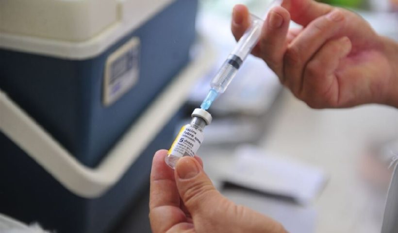 São Paulo confirma primeiro caso de febre amarela em humano em 2025