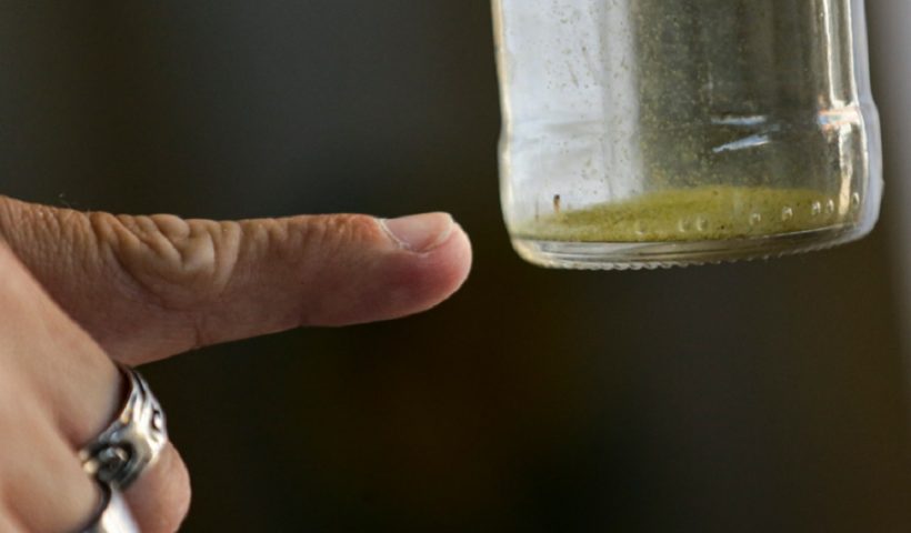 Jacareí registra quarta morte por dengue em 2025