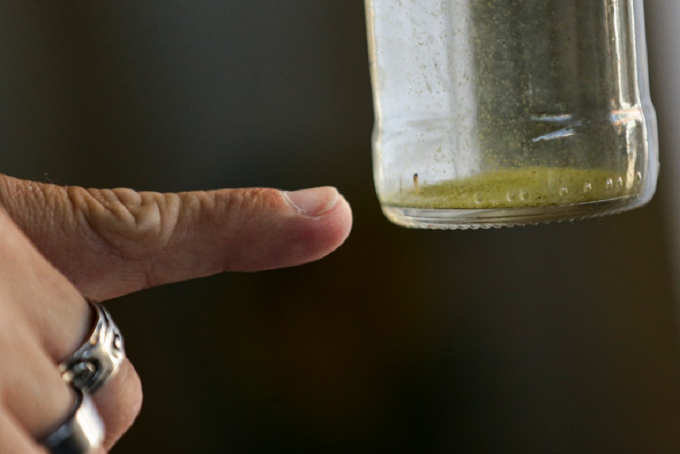 Jacareí registra quarta morte por dengue em 2025