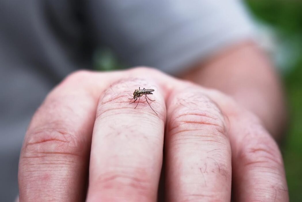 São José confirma quarta morte por dengue em 2025; Vale do Paraíba já soma 16 óbitos