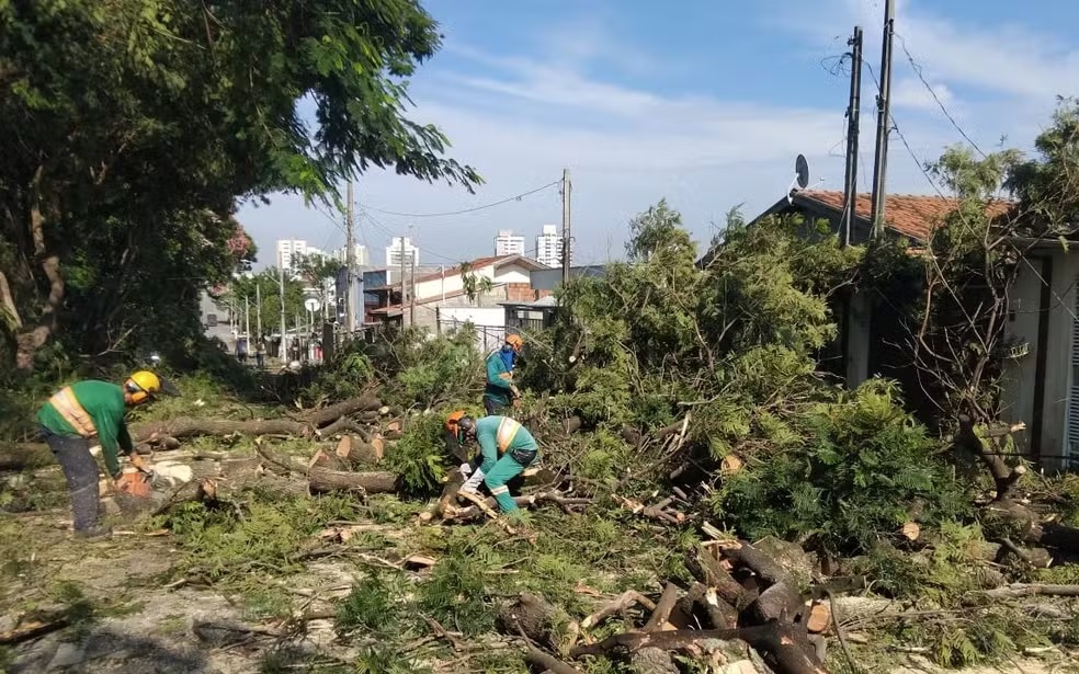 Com rajadas de vento que ultrapassaram os 70 km, Taubaté registra 25 quedas de árvores
