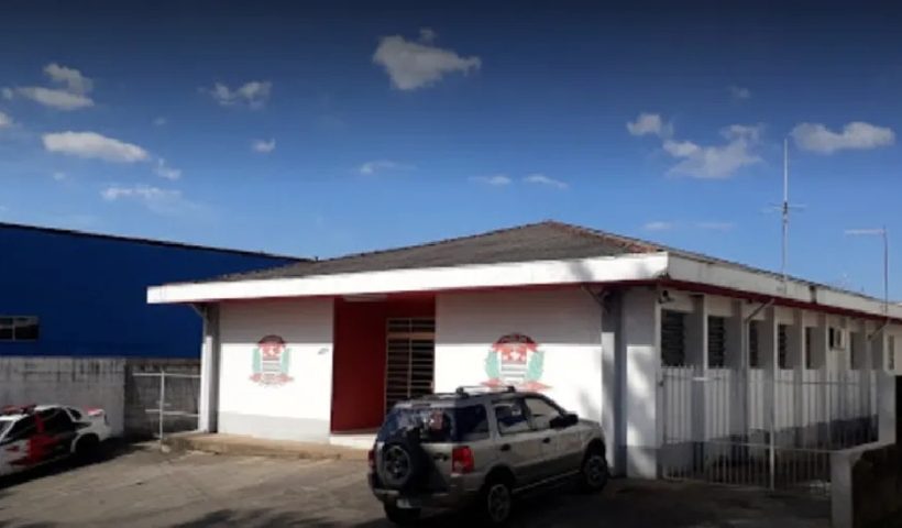Idoso de 77 anos morre após ser atacado por enxame de abelhas em Igaratá