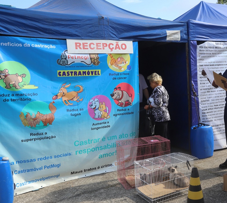 Mutirão que matou cinco cães em Jacareí não tinha autorização, diz Conselho