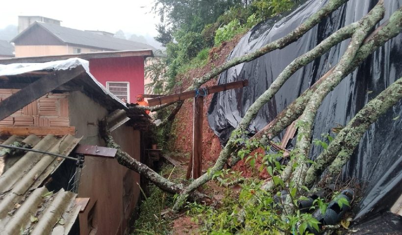 Chuva provoca deslizamento de terra e queda de árvores em Campos do Jordão