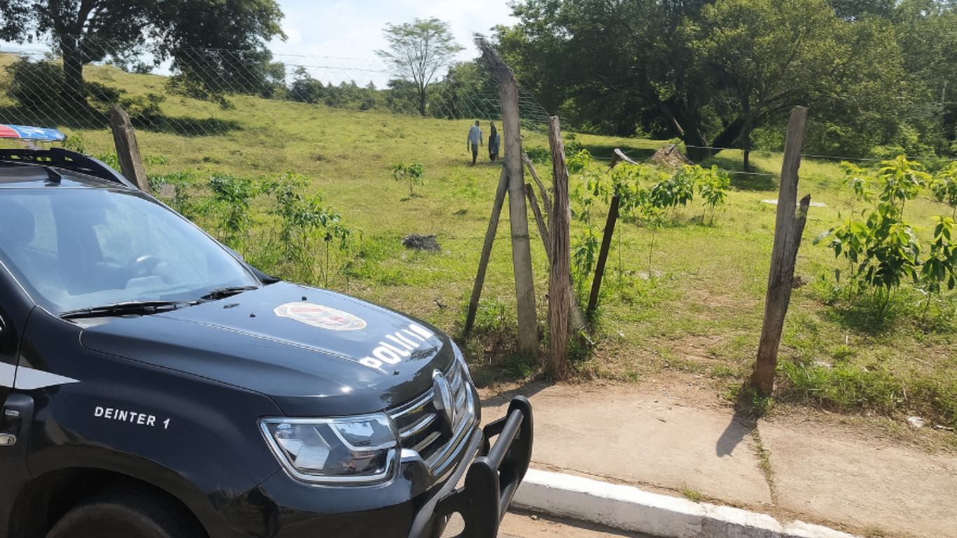 Polícia Civil prende cinco suspeitos em operação contra homicídio em Caçapava