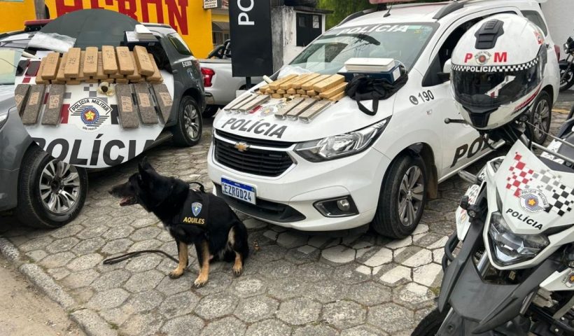 Polícia Militar apreende grande quantidade de drogas em Guaratinguetá