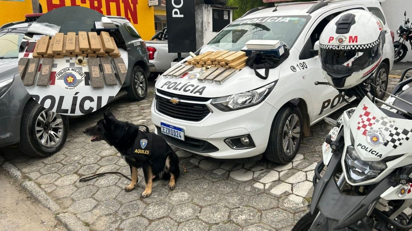 Polícia Militar apreende grande quantidade de drogas em Guaratinguetá