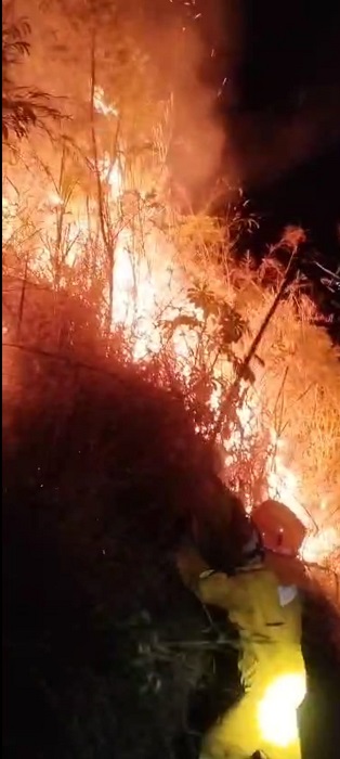 Incêndio atinge 12 mil m² de mata em São Sebastião