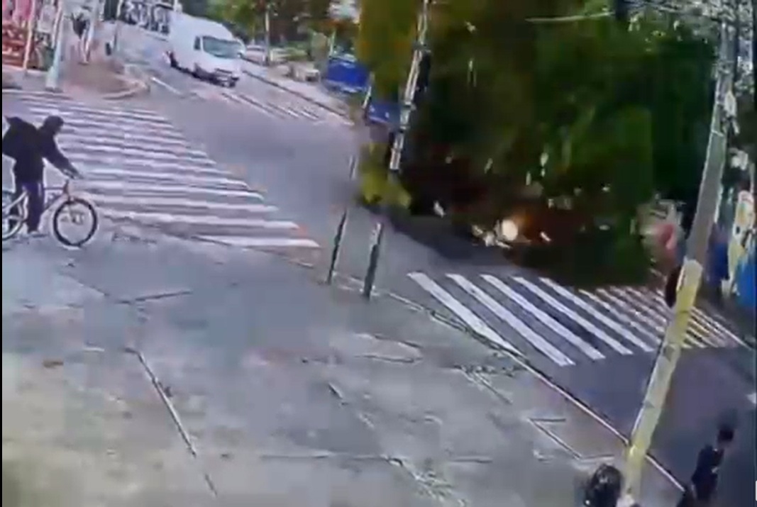 VÍDEO: Árvore de grande porte cai sobre avenida e atinge carro na zona sul de SJC