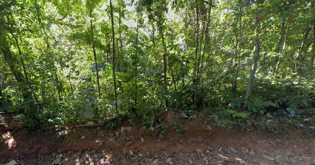 Crânio é encontrado em mata após denúncia anônima em São Sebastião