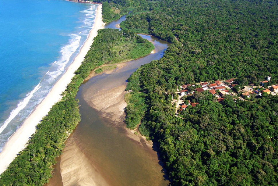 Festival em Ubatuba celebra a Mata Atlântica com ações ambientais