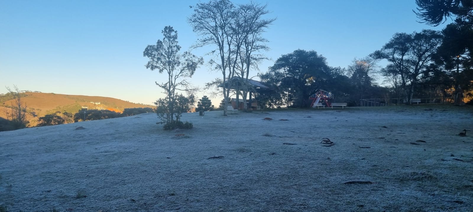 Campos do Jordão tem recorde de frio e geada no Vale do Paraíba - CBN ...