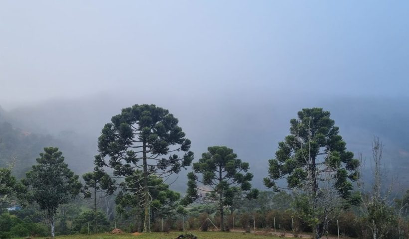 Geada e temperaturas de 2.7°C marcaram a manhã mais fria do ano em Campos do Jordão