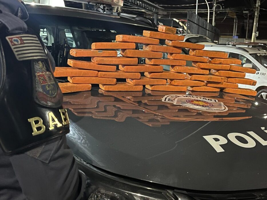 Polícia apreende 32 tabletes de maconha em residência na zona sul de São José