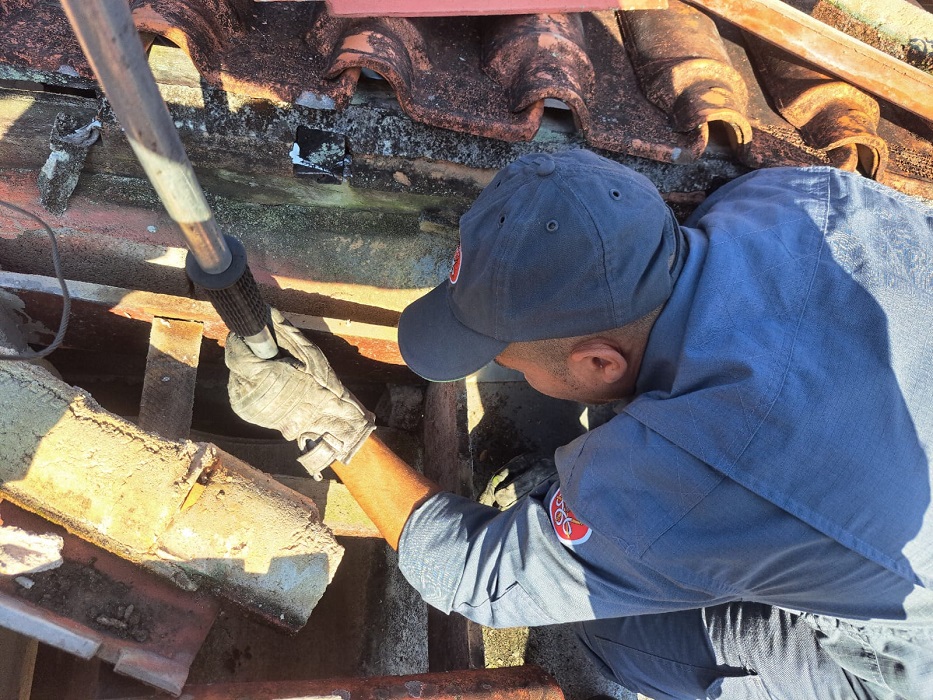 Gato preso entre paredes é resgatado pelos bombeiros em Caraguá