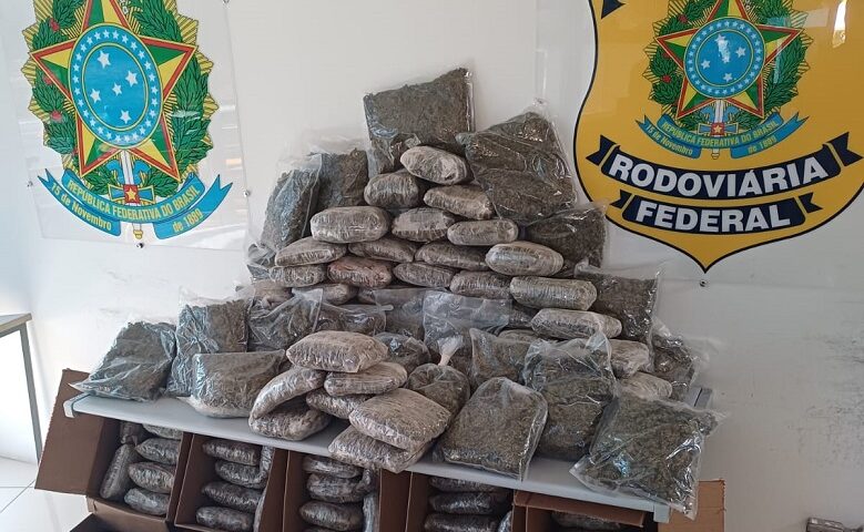 PRF apreende quantidade recorde de 'supermaconha' na Via Dutra