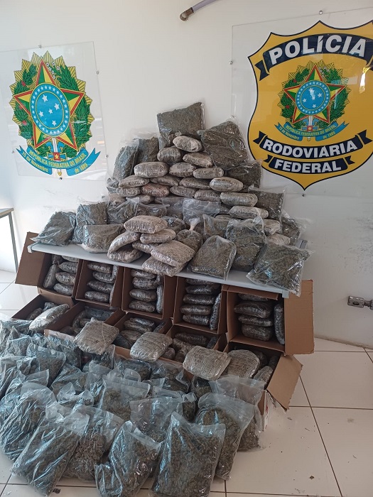 PRF apreende quantidade recorde de 'supermaconha' na Via Dutra