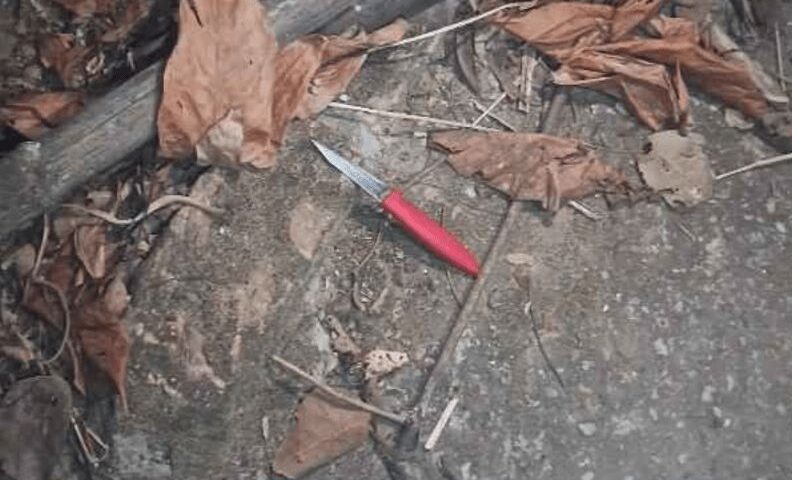 Caso aconteceu em uma residência na localizada na Estrada José Derrico Moreira