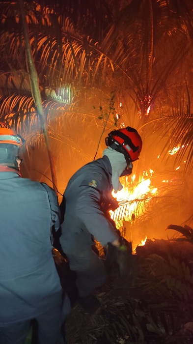 Incêndio em Caraguá mobiliza bombeiros por quase 20 horas