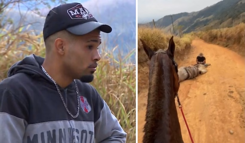 Investigado por cortar patas de cavalo nega maus-tratos antes da morte: "ato de transtorno"