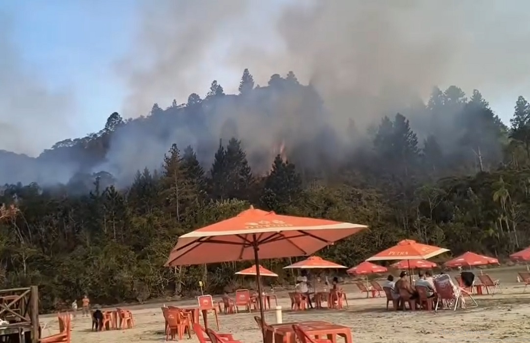 VÍDEO: Incêndio atinge mata perto da Praia da Tabatinga no Litoral Norte