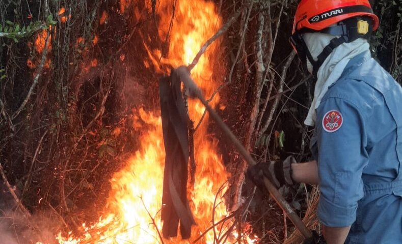 Bombeiros vencem fogo em mata de Ubatuba após difícil acesso