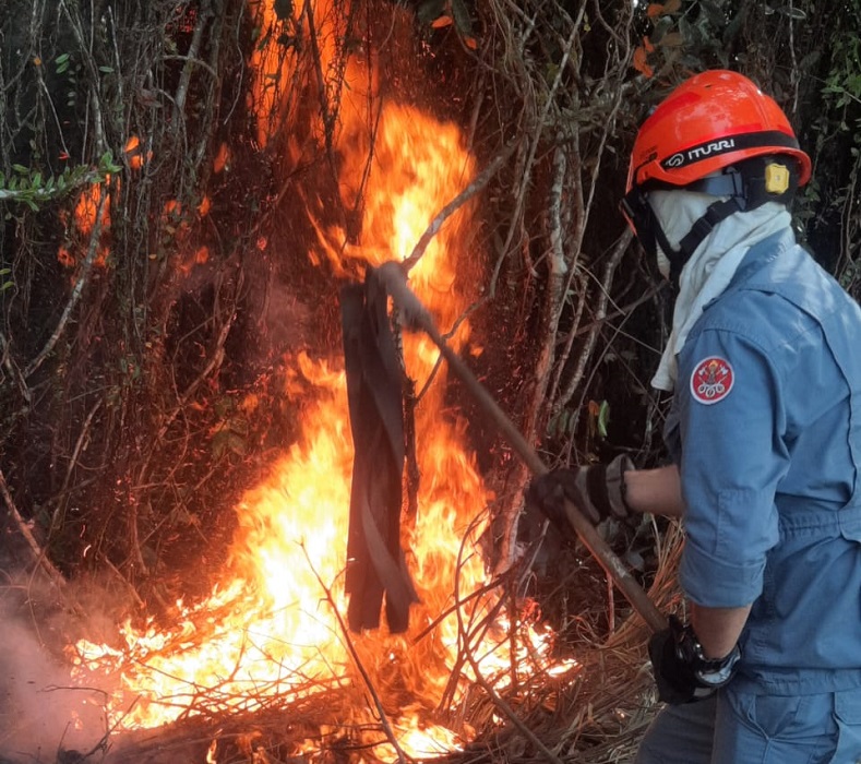 Bombeiros vencem fogo em mata de Ubatuba após difícil acesso