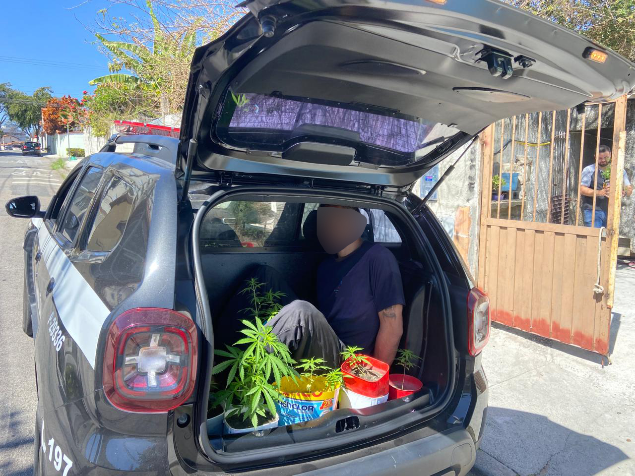 Polícia prende homem por cultivo de maconha na Zona Sul de SJC