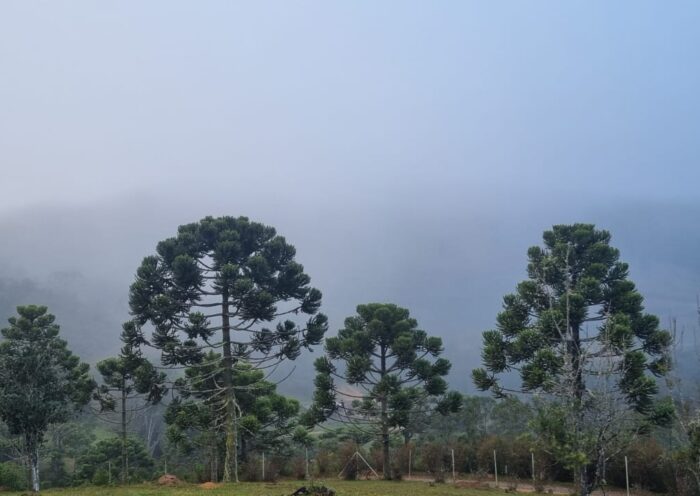De acordo com dados do Instituto Nacional de Meteorologia (Inmet), Campos do Jordão registrou a menor temperatura do dia, com 2,1°C ao amanhecer