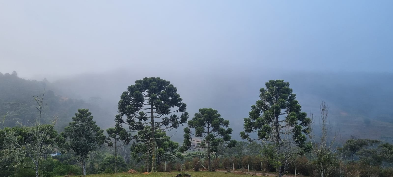 De acordo com dados do Instituto Nacional de Meteorologia (Inmet), Campos do Jordão registrou a menor temperatura do dia, com 2,1°C ao amanhecer
