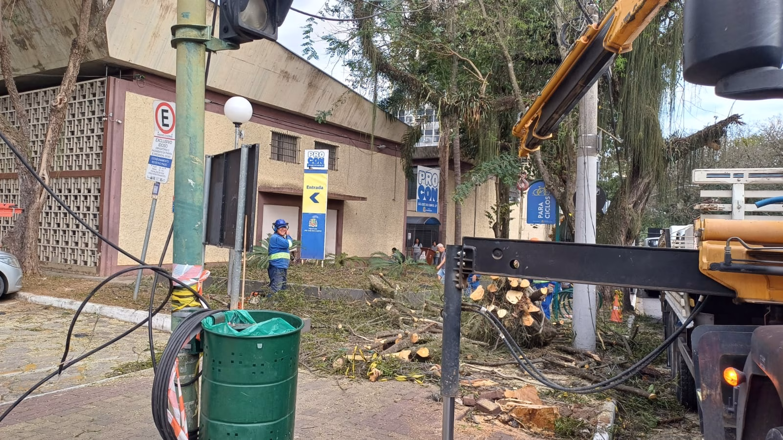 Árvore de grande porte tomba e assusta pedestres no centro de SJC