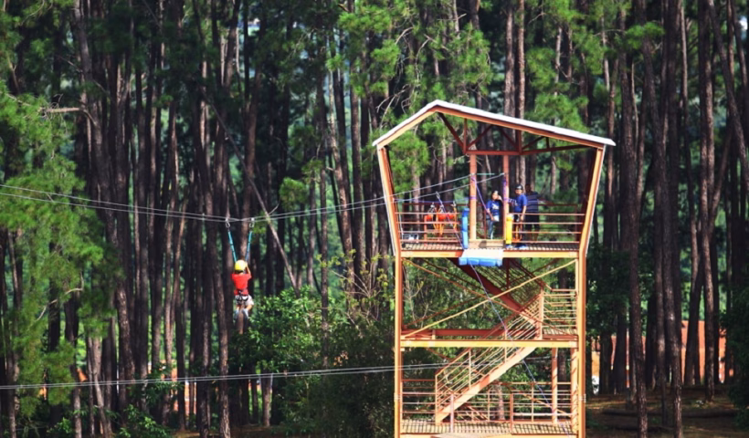 A Prefeitura de São José dos Campos, em parceria com a Organização Social São José Desportivo, promove neste sábado (13) o Viva Melhor,