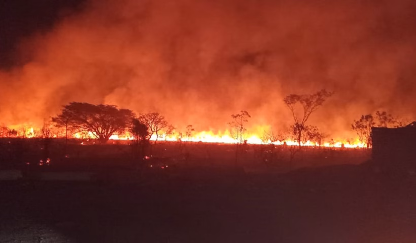 Incêndio em vegetação é controlado próximo à indústria em Pindamonhangaba