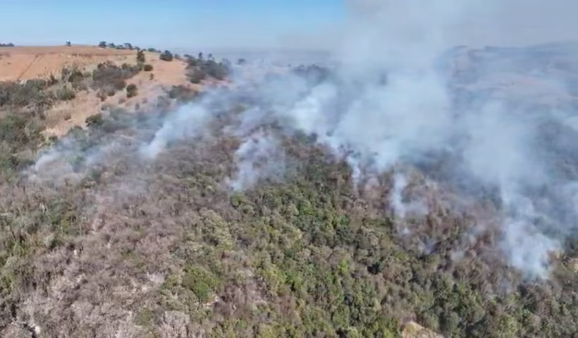 Defesa Civil do Estado combate focos de incêndios em cidades no Vale do Paraíba