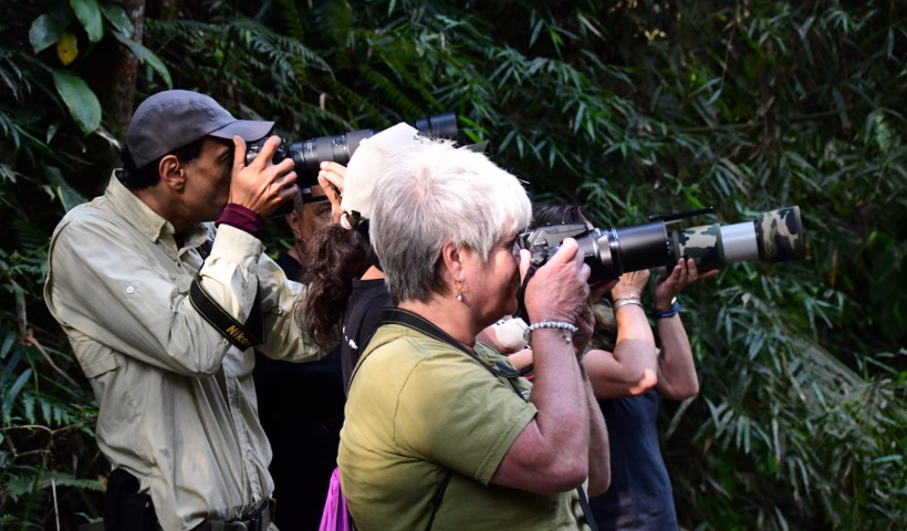 Ilhabela Bird Week 2025