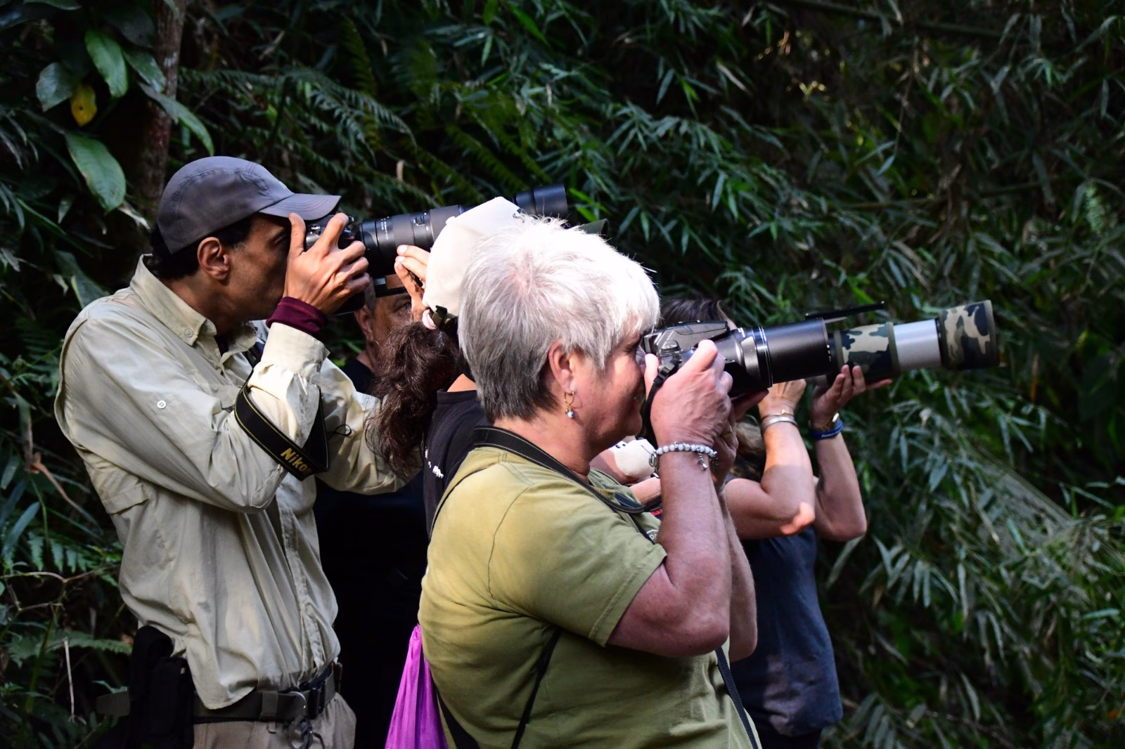 Ilhabela Bird Week 2025 vai até domingo, dia 14 de setembro