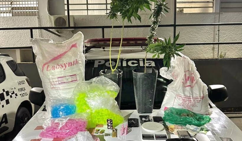 Polícia prende homem por tráfico com 37 kg de drogas em São José