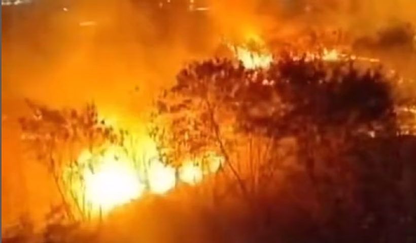 Incêndio em Jacareí mobiliza equipes e consome dois hectares próximos a imóveis