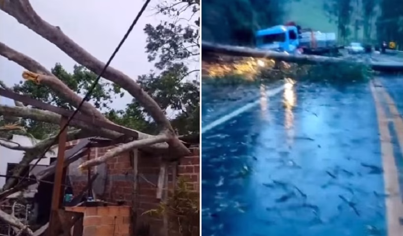Ciclone causa estragos e mobiliza força-tarefa em Ubatuba