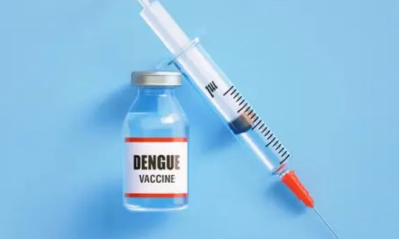 O Brasil se aproxima de um marco histórico no combate à dengue. Às vésperas do período em que os casos da doença tradicionalmente aumentam