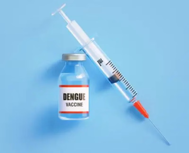 O Brasil se aproxima de um marco histórico no combate à dengue. Às vésperas do período em que os casos da doença tradicionalmente aumentam