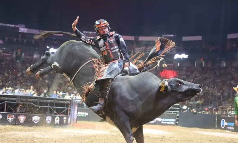 Prepare o chapéu e o coração: Taubaté está de volta ao circuito nacional dos rodeios com o “Taubaté Expo Rodeo”, que acontece de 21 a 30 de novembro.