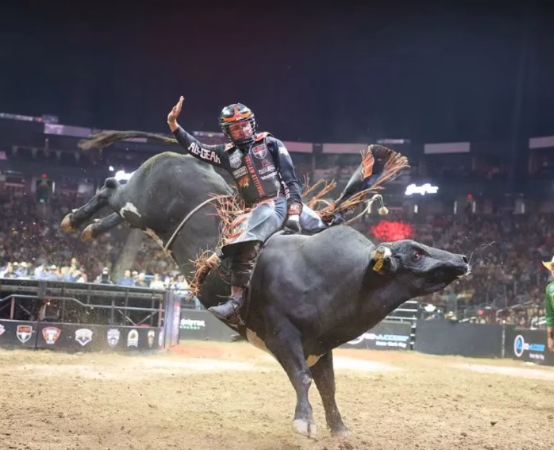 Prepare o chapéu e o coração: Taubaté está de volta ao circuito nacional dos rodeios com o “Taubaté Expo Rodeo”, que acontece de 21 a 30 de novembro.