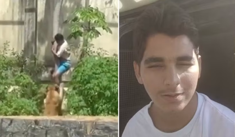 Jovem morto por leoa expõe falhas em saúde mental e proteção social