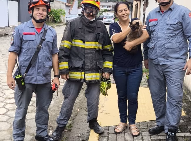 Gato fica preso por três dias em telhado e é resgatado em Ubatuba