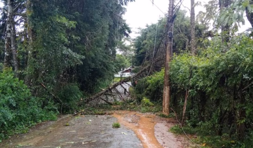 Ventos de 45 km/h derrubam árvores e elevam alerta em Campos do Jordão